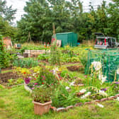 The allotment at Charlton Road in Brentry.