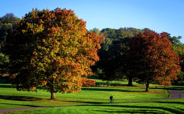 A man cycles past trees that are begining to show their autumn colours in the early morning light at the Ashton Court Estate.