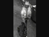 CCTV appeal for e-scooter rider after man is raped in Bristol park
