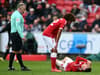 Bristol City 0-1 Fulham: player ratings, MOTM, heroes & villains as Robins knocked out of FA Cup