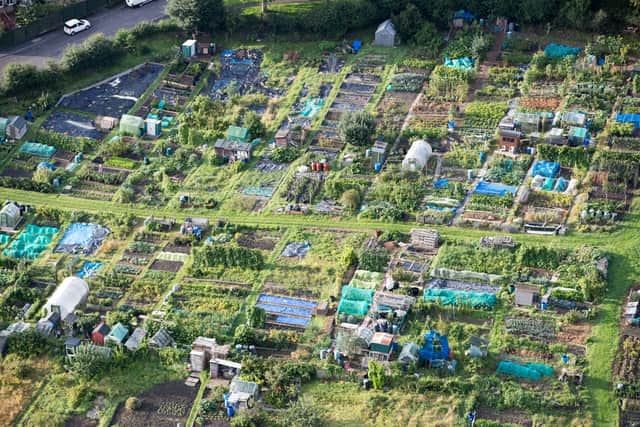 The cost of renting an allotment in Bristol could rise by 25%