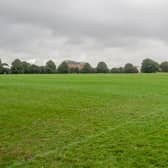 People will get a say on the future of The Downs in a public consultation