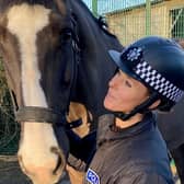 A football fan who punched a police horse (pictured) has been banned from attending games for three years