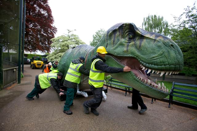 An animatronic Tyranosaurus ‘T Rex’ is put into position as a host of new species arrive at Bristol Zoo as preparations get underway for the Zoos dinosaur exhibition. 