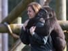Why is Bristol Zoo Gardens closing? Closure date, where animals are going - and can I still get tickets