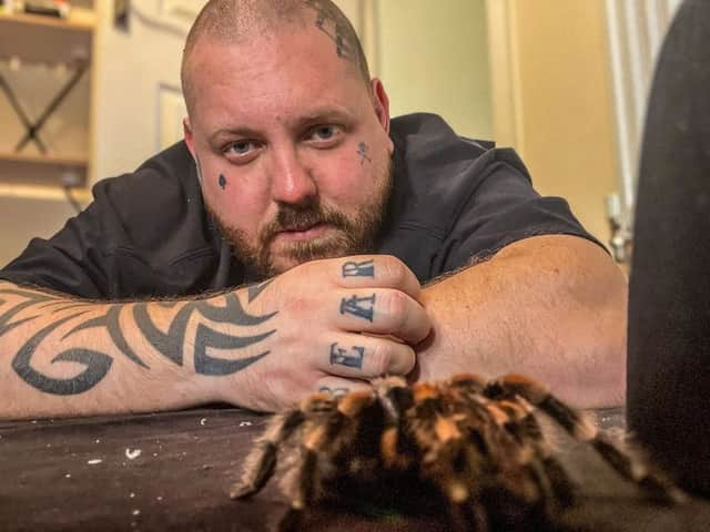 Aaron Phoenix says owning tarantulas has done wonders for his mental health