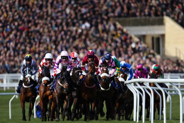 Runners and Riders pass the Main Stand during the Pertemps Network Final Handicap Hurdle at Cheltenham Racecourse on March 15, 2018 in Cheltenham, England.  (Photo by Michael Steele/Getty Images)