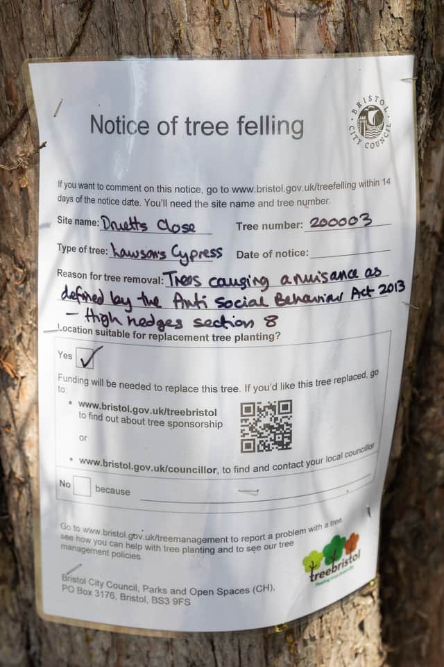 The notice put on one of the Lawsons Cypress trees felled