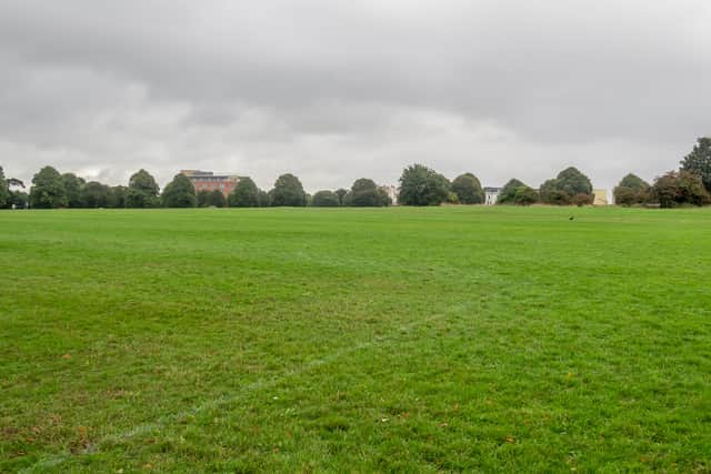 The Downs is the space of 130 football pitches and much-loved in the city - but expensive to run.