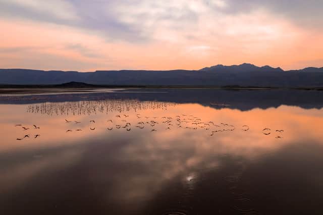 Sunset reflections and flamingoes in Lake Natron. Arusha Region Tanzania.