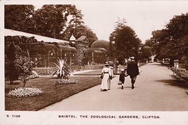 The main avenue of Bristol Zoo Gardens in 1900 (Credit: Bristol Zoological Society)