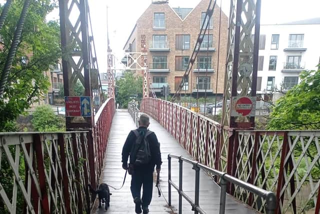 A dog walker uses the key bridge today (June 6). 