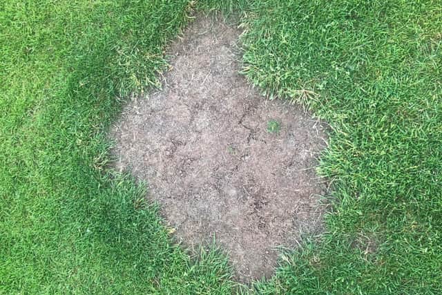 The damage leaves circular scars across the pitch