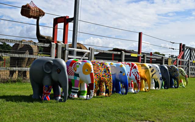 The Elephant Parade is coming to Noah’s Ark Zoo Farm