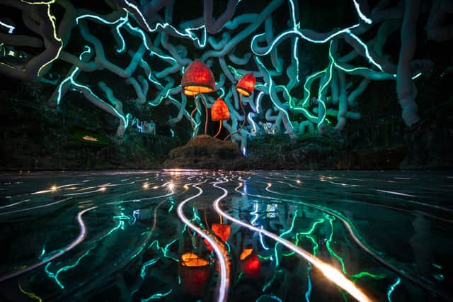Guests will travel through illuminated singing ice, underwater worlds, mechanical chambers and elder forests in search of the secrets of the Lost Meridians. Pic: Alex Allen.
