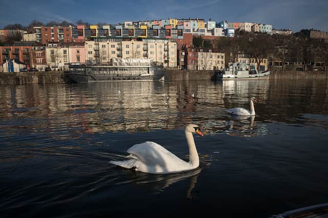 Swans swim besides the harbourside as the sun begins to rise in Bristol.
