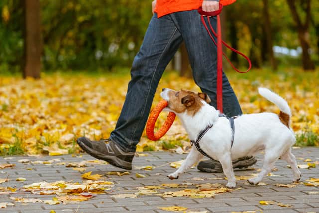 Dog owners have been advised to keep their pets on a lead.