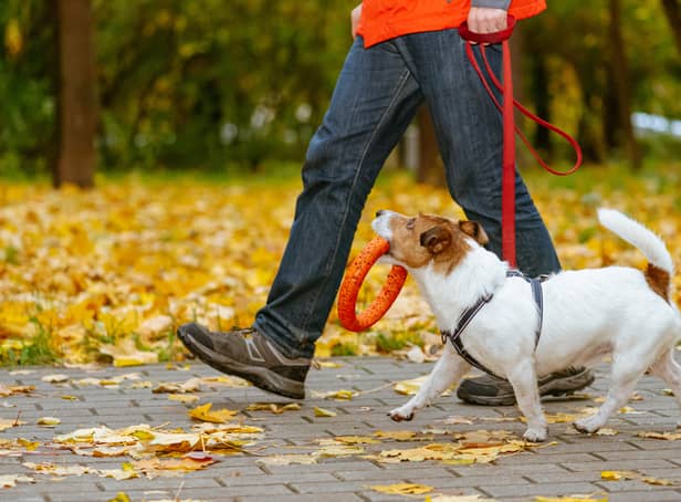 <p>Dog owners have been advised to keep their pets on a lead.</p>