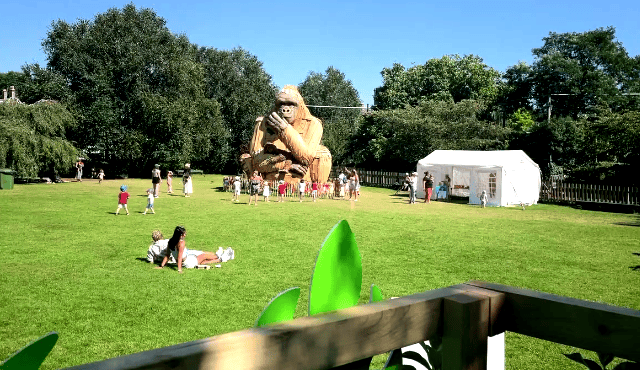 The giant gorilla sculpture ‘Wilder’ installed on the lawn for the Zoo’s Big Summer Send Off.