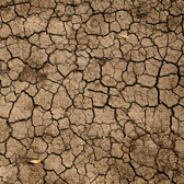 UK Drought 2022: What is a drought, will it affect Bristol & what has Bristol Water said? 