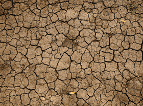 UK Drought 2022: What is a drought, will it affect Bristol & what has Bristol Water said? 