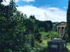 What makes Arnos Vale Cemetery an ‘amazing and wonderful’ attraction - and why you should visit