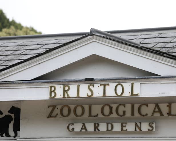 Bristol Zoo was the world’s fifth-oldest zoo.