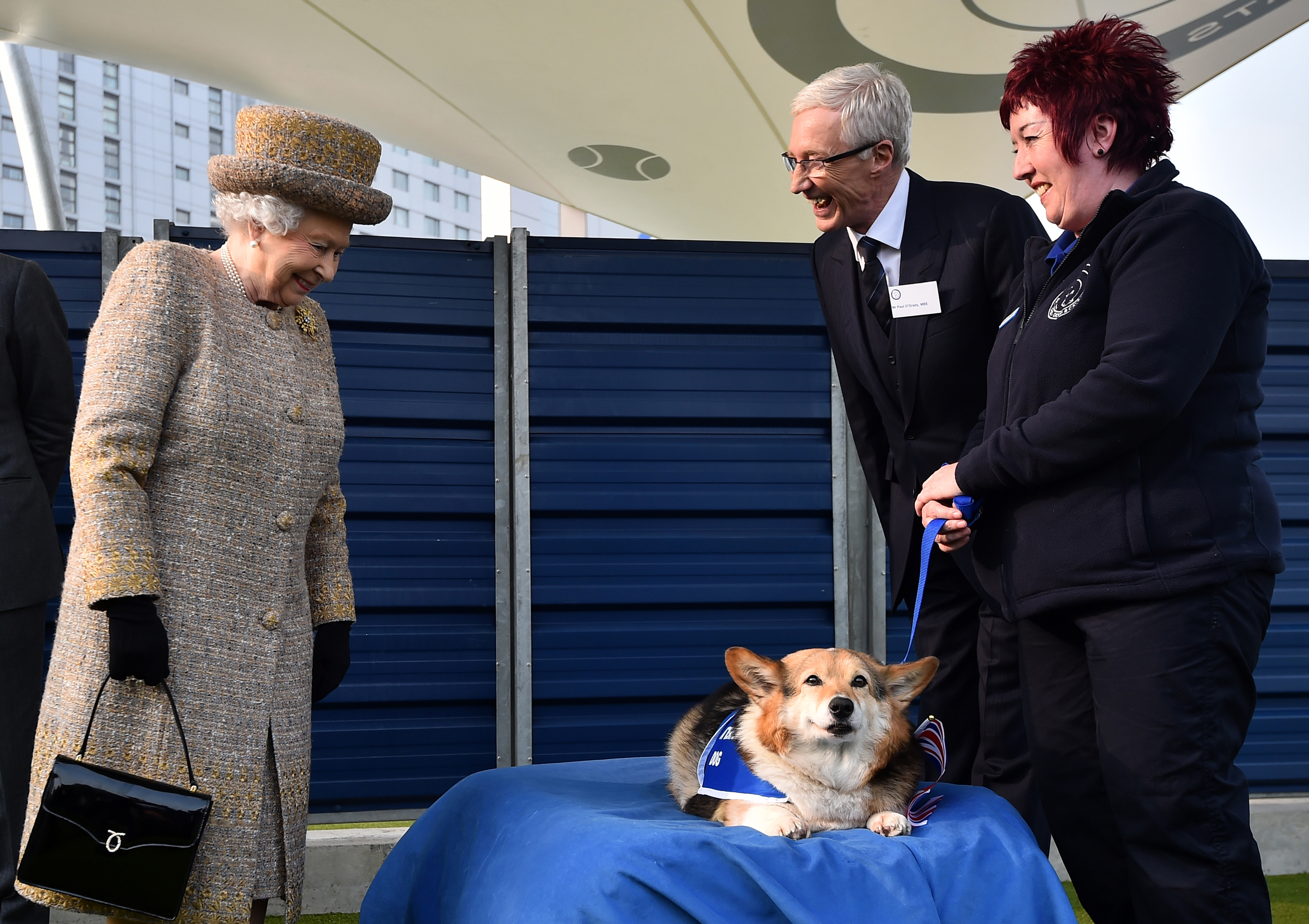 Queen’s Corgis: What will happen to them, is Prince Andrew & Sarah Ferguson taking them, what are their names?