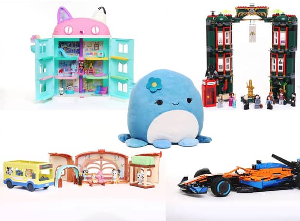 <p>Argos reveals top 15 toys for Christmas 2022 including Squishmallow</p>