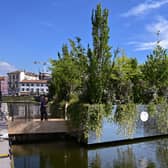 Could the floating pontoon look like this ‘Floating Forest’ which appeared as part of the Fuorisalone 2022 design fair in Milan?