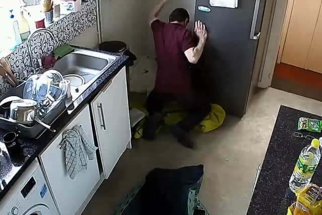 Michal Kulesza can be seen punching the dogs in a video released by the RSPCA