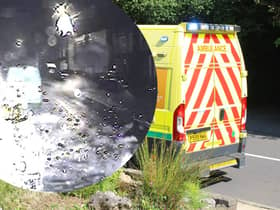 A firework was thrown at the bonnet of a South Western Ambulance Service vehicle