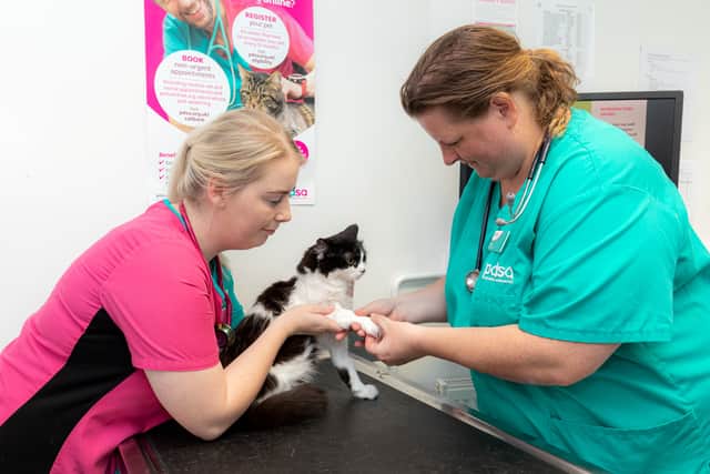 PDSA’s Bristol Pet Hospital is appealing for donations to continue delivering treatment to pets like Oreo.