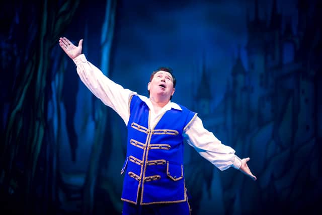 Andy Ford plays Buttons in Cinderella at the Bristol Hippodrome (photo: Stephen Lewis)