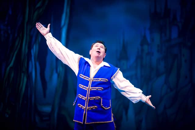Andy Ford plays Buttons in Cinderella at the Bristol Hippodrome (photo: Stephen Lewis)