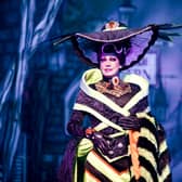 Craig Revel Horwood stars in Cinderella at Bristol Hippodrome (photo: Stephen Lewis)