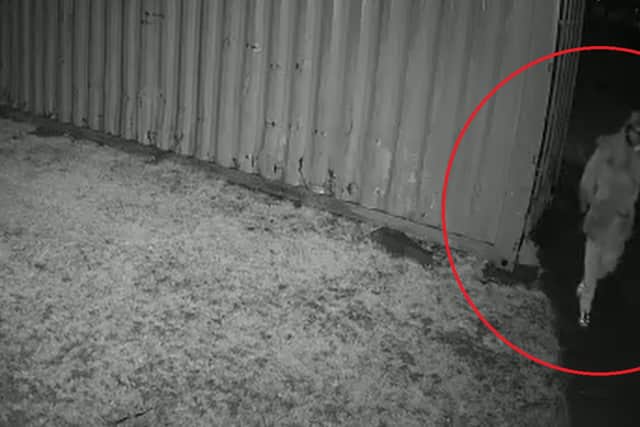 This man was caught on camera trying to open locks to storage containers at Kingswood Rugby Club