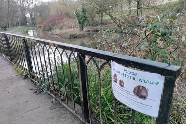 One of the signs up at the bridge next to the duck pond at Keynsham Memorial Park