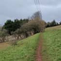 The path from St Michael’s to Clapton-in-Gordano is also popular with locals out walking their dogs