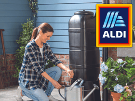 Aldi launches new spring garden range for limited time only with trendy wellies for just £9.99 - how to buy