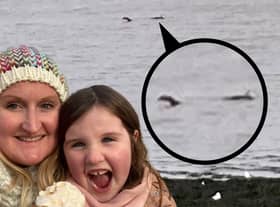 Is it, isn’t it?! Anna and her daughter Grace spotted this moving object in the Bristol Channel 