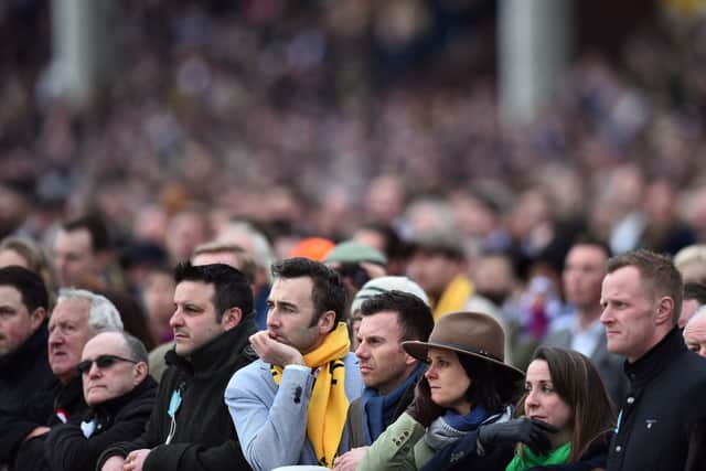 The crowd look on at the Cheltenham Festival.