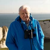 Sir David Attenborough introduces the Wild Isles series at dawn at Old Harry’s Rocks.