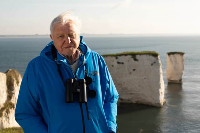 Sir David Attenborough introduces the Wild Isles series at dawn at Old Harry’s Rocks.