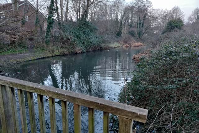 The well-preserved moat which is on three sides of the two-acre site