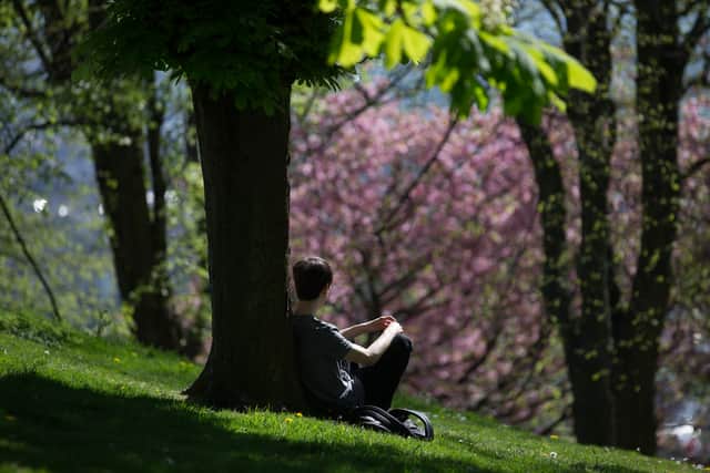 Blossom is seen on trees in Brandon Park in Bristol.