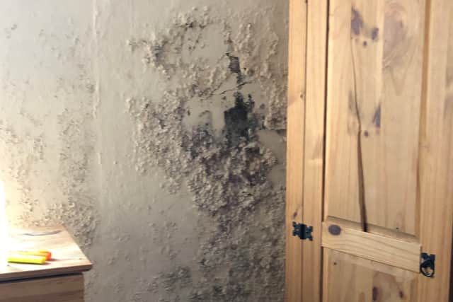 Walls in upstairs bedrooms are damp and covered in black mould (photo: Bristol World)