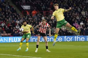 Bristol City suffered a narrow defeat to Sheffield United. (Image: Andrew Yates / Sportimage)