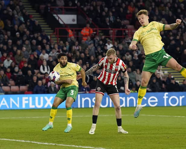 Bristol City suffered a narrow defeat to Sheffield United. (Image: Andrew Yates / Sportimage)