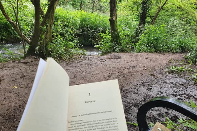I felt at peace reading a book on a bench while on a walk through the woodland